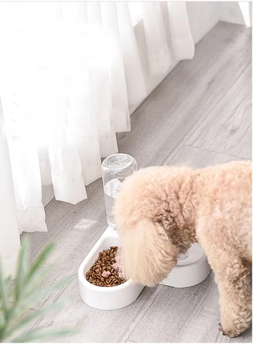 2-in-1 Elevated Double Bowl: Non-Wet Mouth Design for Cats and Dogs